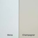 Kleiderschrank 2-türig ROOM:IN, Champagner/Natur, Höhe: 200cm, Breite: 100cm