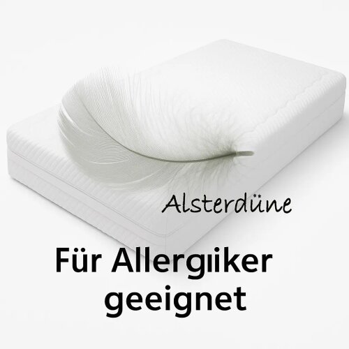 Lifetime Sitzkissen grau 7641